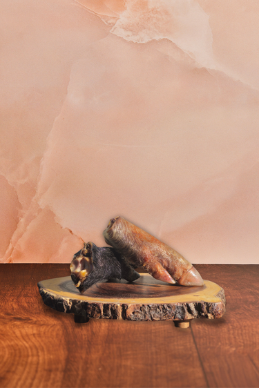 Pig Trotter (Hairy)