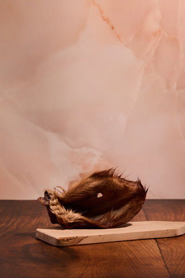 Beef Ear (Hairy)