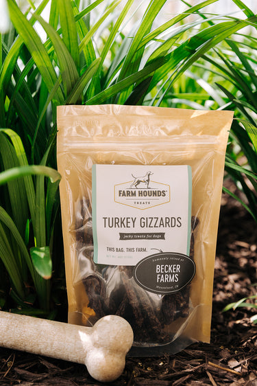 Turkey Gizzards